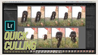 How to Cull a Photography Session Quickly in Lightroom CC