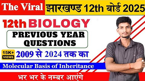 Class 12 Biology Molecular Basis of inheritance (Genetics) Previous Year question from 2009 to 2024
