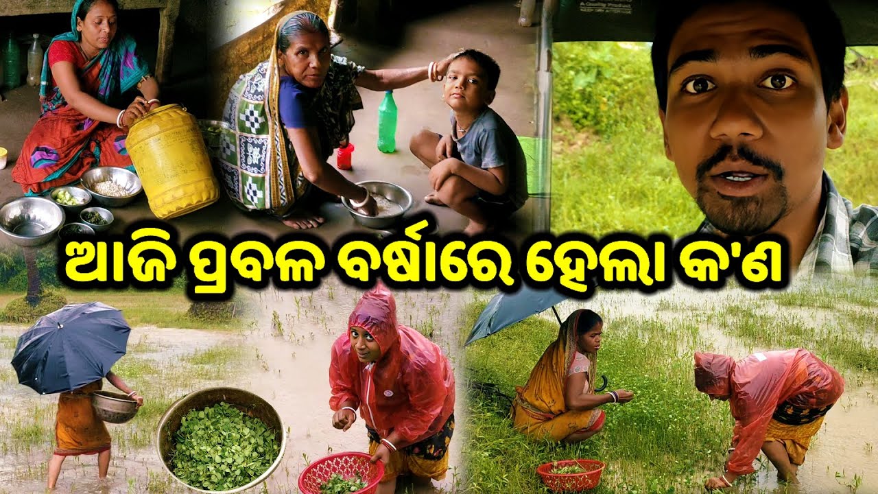 ଆଜି ପ୍ରବଳ ବର୍ଷାରେ ହେଲା କ'ଣ ? || Odia Family Vlog || Tapan Sanju Family Vlog