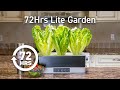 72HRS Lite Garden