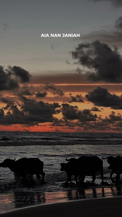 Balaku Bana Bakato Baiak #laguminang #laguminangviral #laguminangterbaru #minang #musikminang