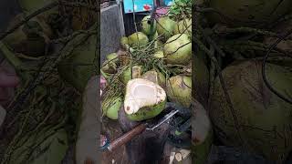 young coconuts frees water cutting skills #streetfood #water #fruit #satisfying