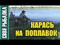 Карась на поплавок. Рыбалка в запрет