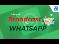 WhatsApp Broadcast Guide: How to Send Messages 📱