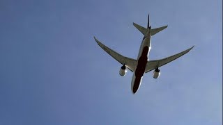 Australia's suspension of travel bubble with NZ has been 'another blow'