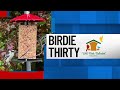 BIRDIE THIRTY: "Use only No-Melt Suet cakes during the peak summer" - EWN at 6:30am on 6-27-2026