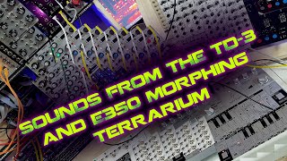 Sounds from the Behringer TD-3 and Synthesis Technology E350 Morphing Terrarium
