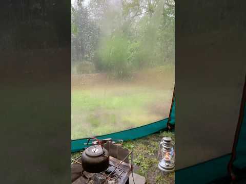 雨の日のキャンプ🏕️🌧️ #自然音 #asmr #rainsounds #雨 #キャンプ