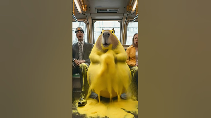 卡皮巴拉在飞机上揉出好多黄色泡沫  Capybara rubbing a lot of yellow foam on the plane #capybara #funny #animals