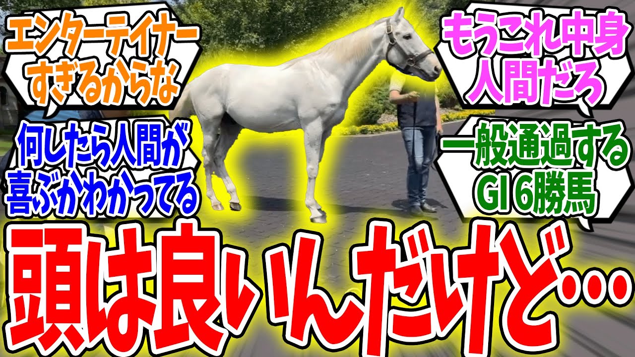 ゴールドシップとかいう頭