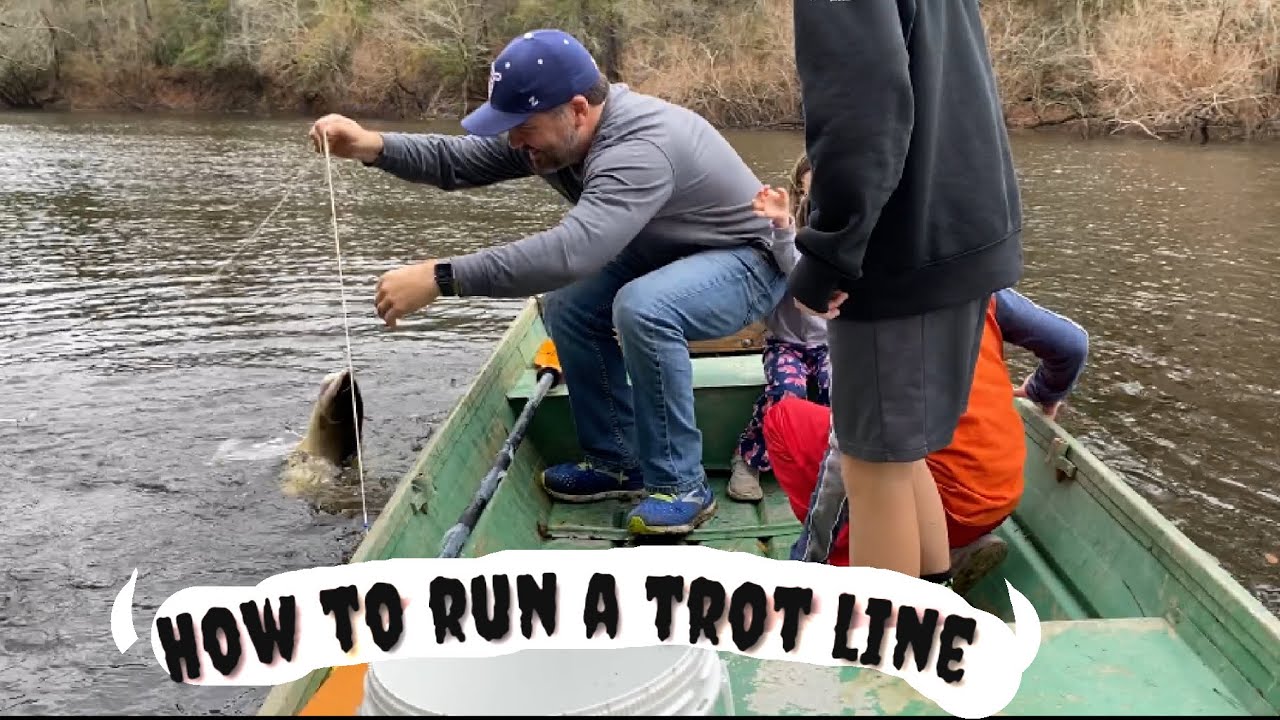 HOW to run a TROT LINE and catch clean and cook eel #trotline  #trotlinesetup 