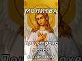 ✈️ Короткая молитва при страхе перед полётом #shorts #шортс #молебен