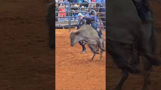 Bull Riding In Miami Beach Florida. Get Sum No Bull.