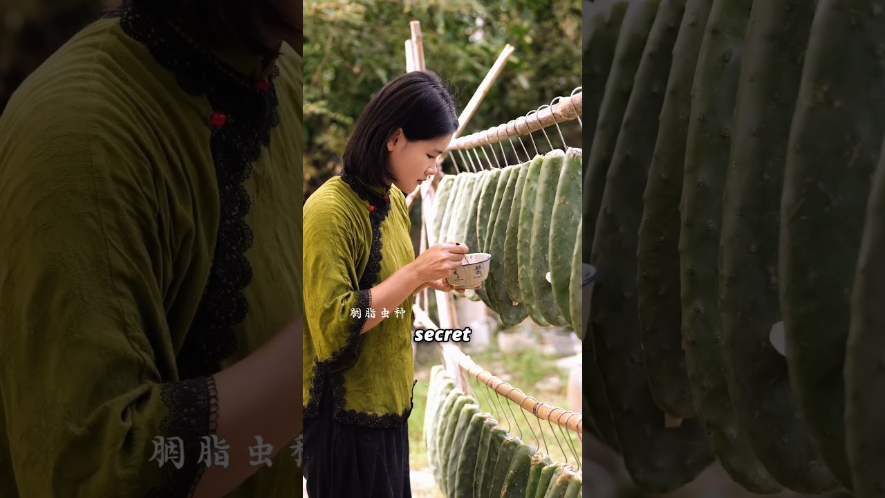 Древние секреты красоты, скрытые в камнях и насекомых 