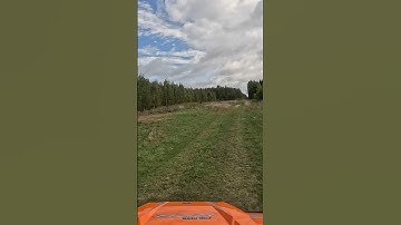 Offroad Track Explored at the Forest: Adventure with RZR Turbo Polaris #offroad