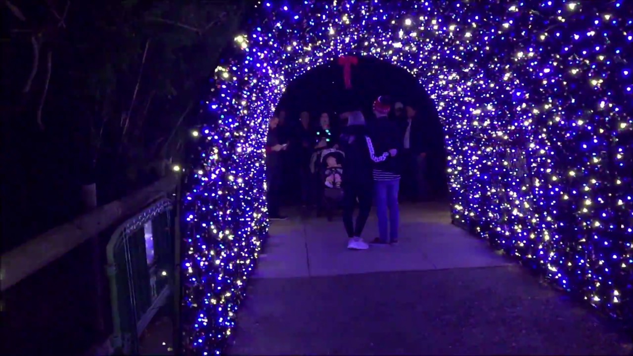 Houston Zoo Lights 2017 Part 1 YouTube
