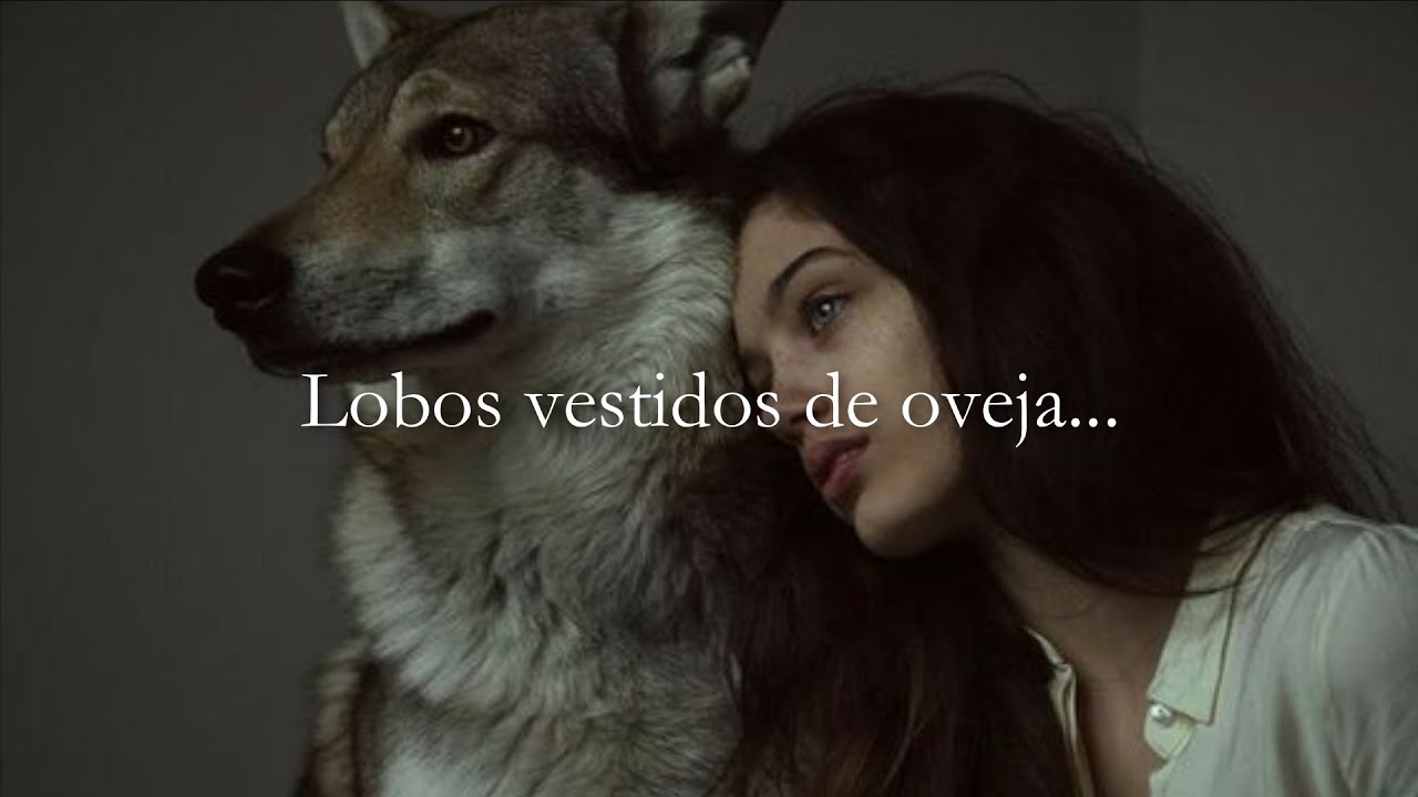 джули киалини оборотни. анна волк. девочка вульфа. девочка вульфа. волчьи глаза у девушки.