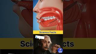 SIGMA PHYSICS TEACHER 😱💥#science #sigma #physics #shorts #usa #alberteinstein