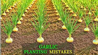 Common Garlic Planting Mistakes To Avoid!