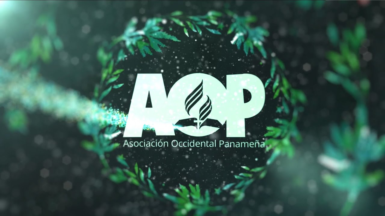 Mensaje de fin de Año -  AOP