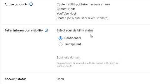 Fix Google Seller.json File issue in Google Adsense Quickly