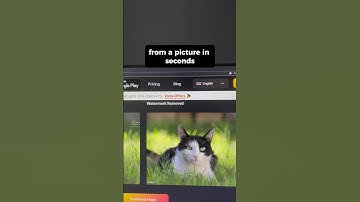 3 AI Websites That Feel Illegal to Know
