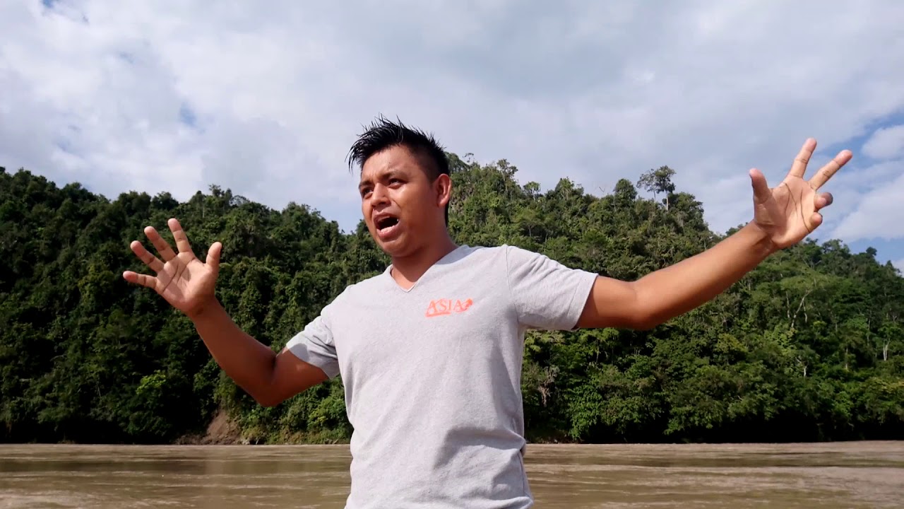 MENTIROSA-SOCIEDAD AMAZONICA-(CHIPE) PRIMICIA 2018