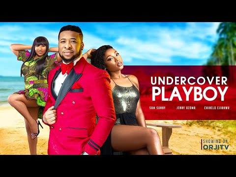 Poster for UNDERCOVER PLAYBOY