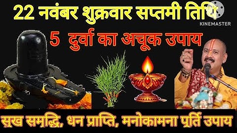 22 नवंबर शुक्रवार सप्तमी तिथि के दिन 5 दुर्वा का अचूक वाला उपाय जरूर करें ll Pradeep ji Mishra
