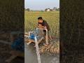 Ab Irrigation Hua Super Fast! ⚡ High Pressure Pump se Khet Hoga Full Green 💧🌾”
