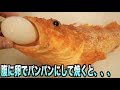 生きたカサゴに卵丸ごと食べさせてオーブンで焼いた結果・・・