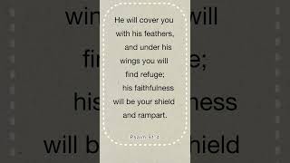 Psalm 91:4 – God’s Protection & Refuge | Powerful Bible Verse #god #bibleverse #dailybible #psalm