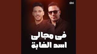 فى مجالى اسد الغابه