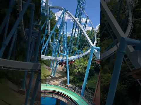 Video: Zábavný park Busch Gardens vo Williamsburgu vo Virgínii