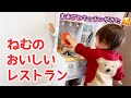 【ままごとキッチン】1歳クリスマスプレゼントは瞬時に会得✨