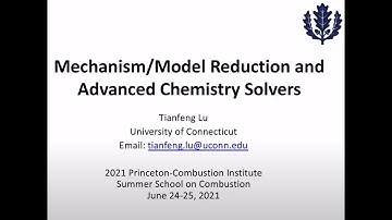 Mechanism/Model Reduction and Advanced Chemistry Solvers, Lu, Day 1 of 2