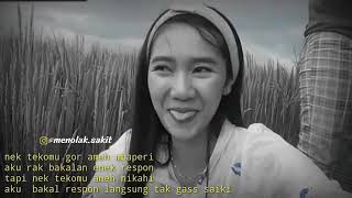 Story wa terbaru • ojo baper || story ambyar dek || story wa lagi viral