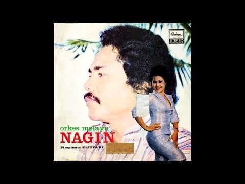 TERBELENGGU - ELVI SUKAESIH