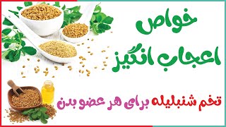 شنبلیله یا حُلْبَه چیست و چگونه مصرف کنیم / فواید و خواص شنبلیله برای مو قاعدگی نوزاد کاهش وزن