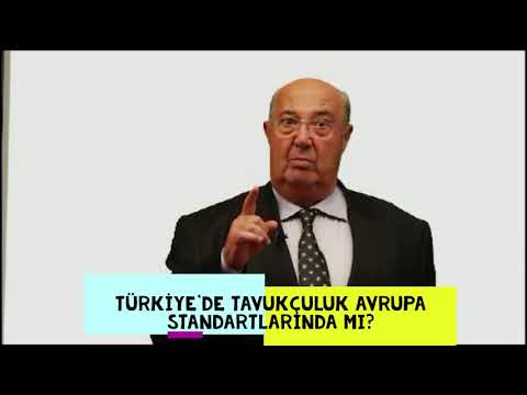 Türkiye’de Tavukçuluk Dünya Standartlarında mı?