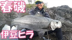 公式 怪魚ハンター山根ブラザーズ Youtube 公式 怪魚ハンター山根ブラザーズ Youtube