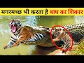 7 ऐसे जानवर जो बाघ को हरा सकते है | 7 Animals That Can Defeat a Tiger in Hindi