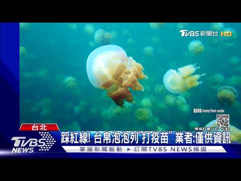 踩紅線! 台帛泡泡列「打疫苗」 業者:僅供資訊｜TVBS新聞