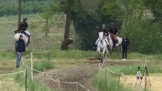 Download Lagu Junior World Champion shows off stunning Horseback Archery skills amid quest for Gold || WooGlobe MP3 Download Lagu Junior World Champion shows off stunning Horseback Archery skills amid quest for Gold || WooGlobe MP3