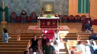 Sunday 8:30 am Mass, July 12, 2026