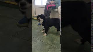 20180328 125844