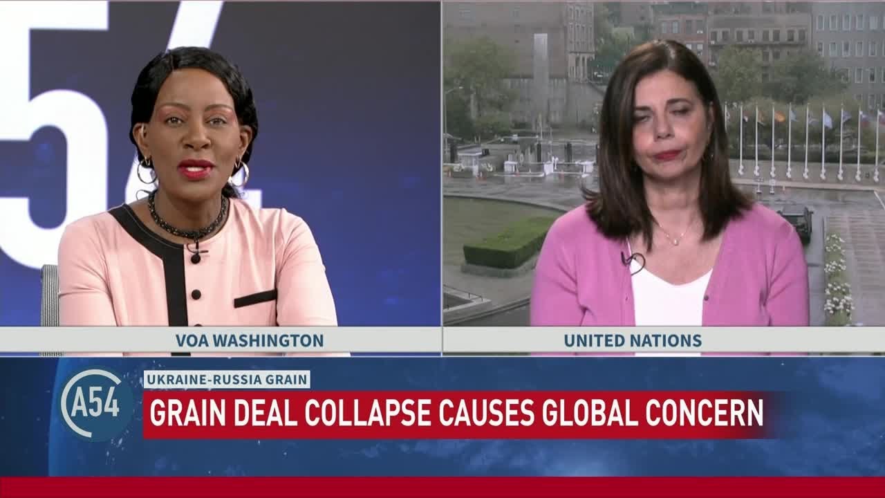 Reactions to Russia Stalling UN Grain Deal