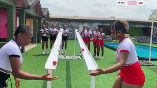 Quick Thinking wins The Game | Who Will Survive This Fast Game