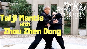 The Core Forms of Taiji Mantis Explained by Zhou Zhen Dong