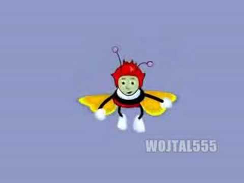 Motylek "Łysy Frajer"